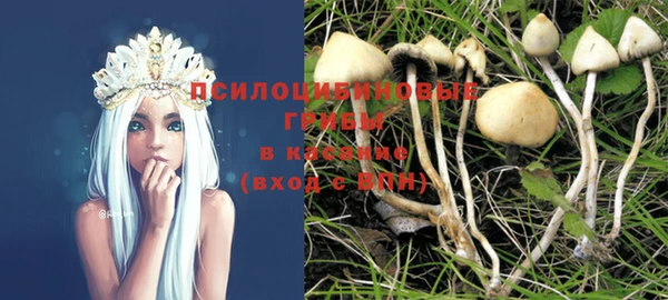 соль курить ск Няндома